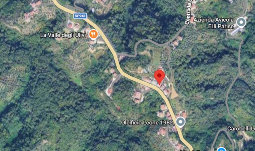 immagine annuncio 6 di 13