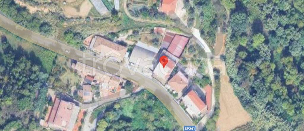 immagine annuncio 8 di 13