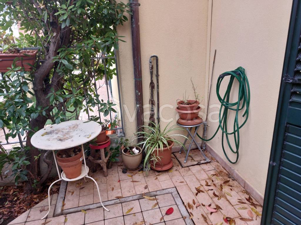 immagine annuncio 5 di 11