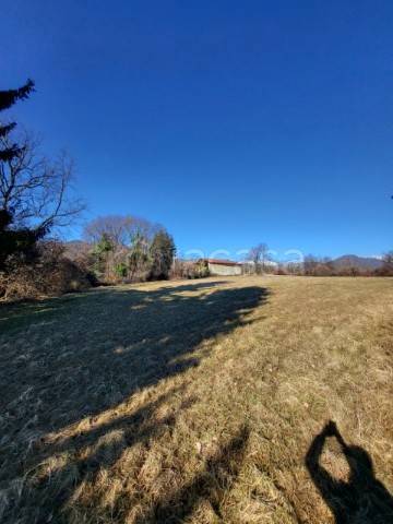 immagine annuncio 4 di 6