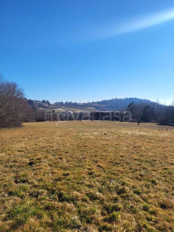 immagine annuncio 5 di 6