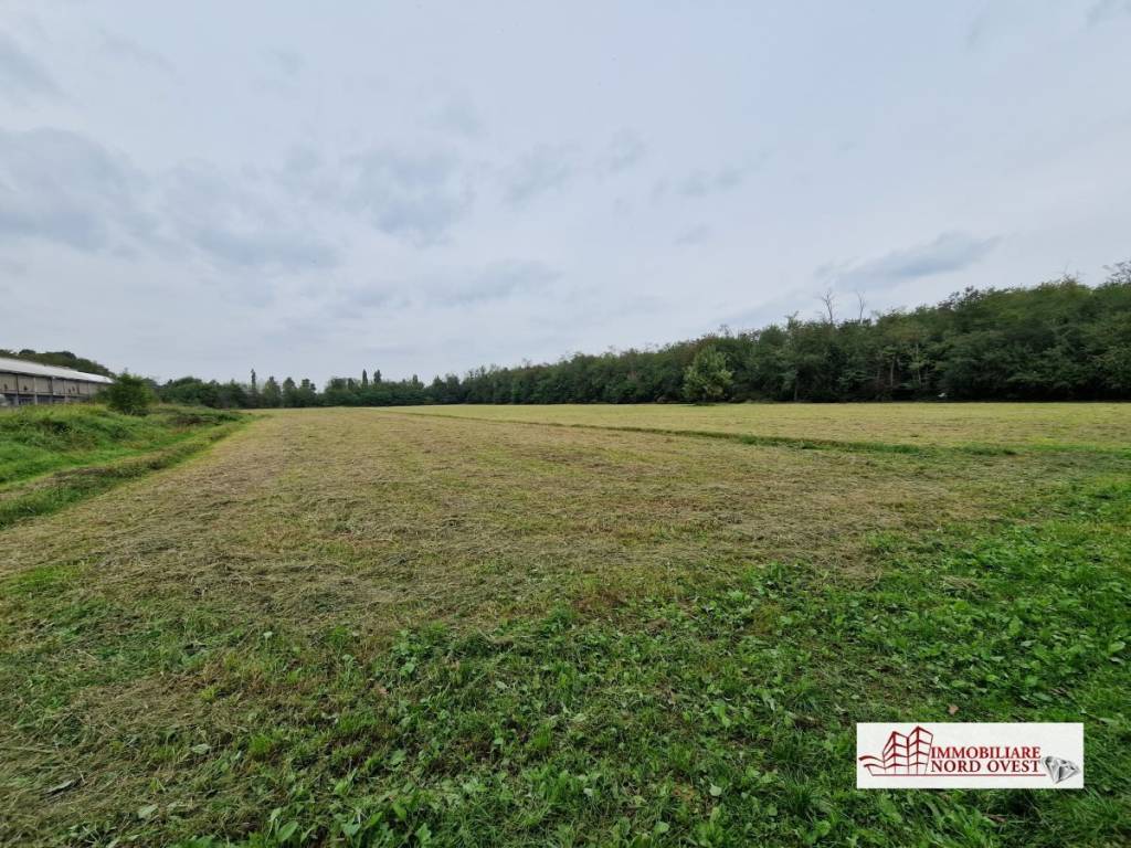 immagine annuncio 2 di 7