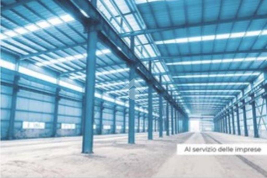 immagine annuncio 2 di 11