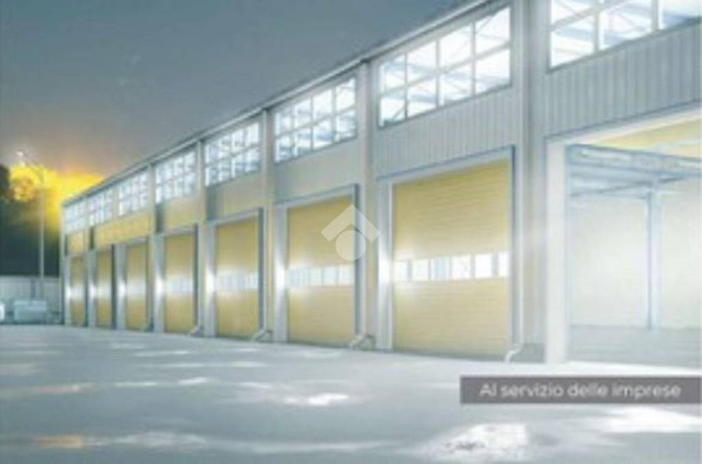 immagine annuncio 10 di 11