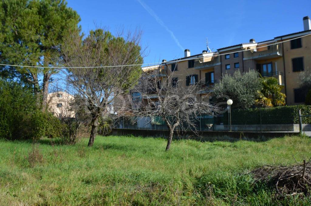 immagine annuncio 1 di 2