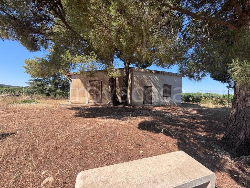 immagine annuncio 3 di 4