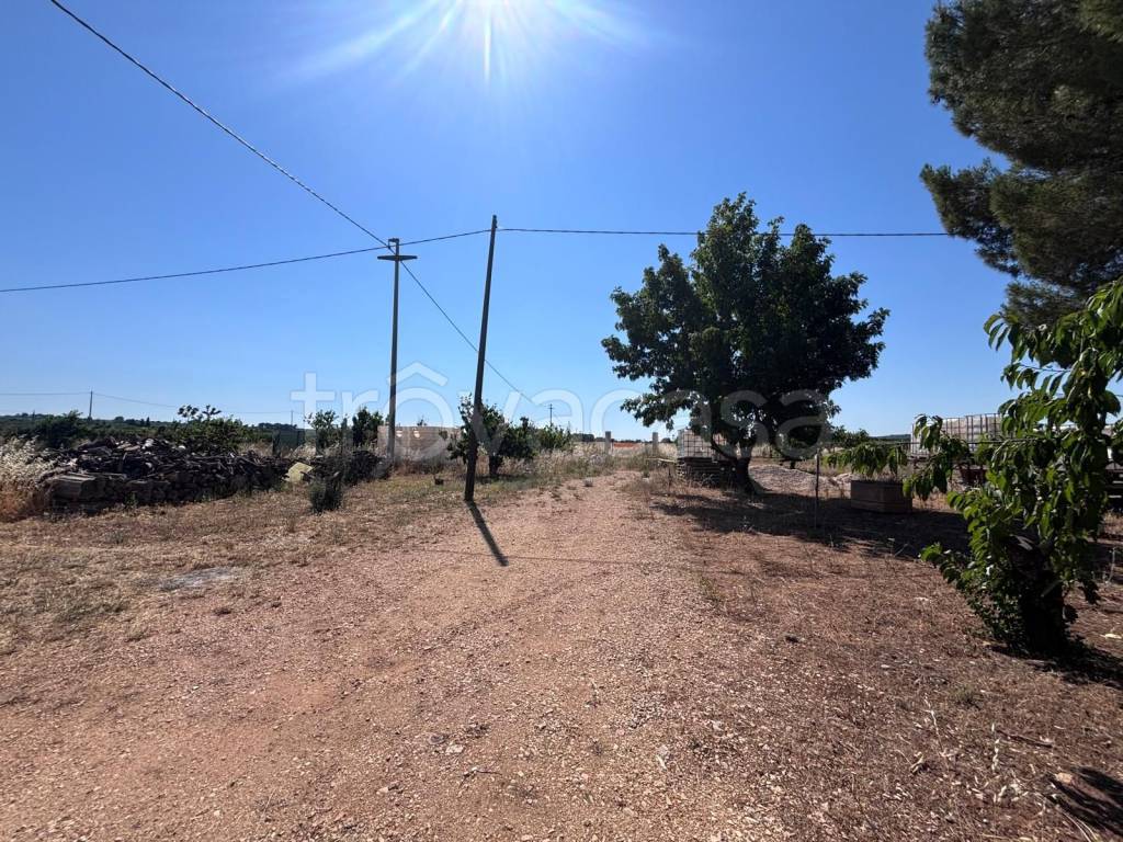 immagine annuncio 2 di 4