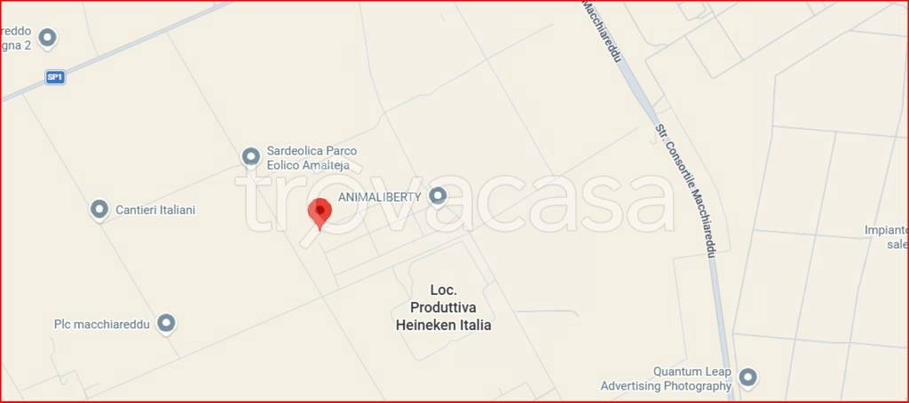 immagine annuncio 10 di 12