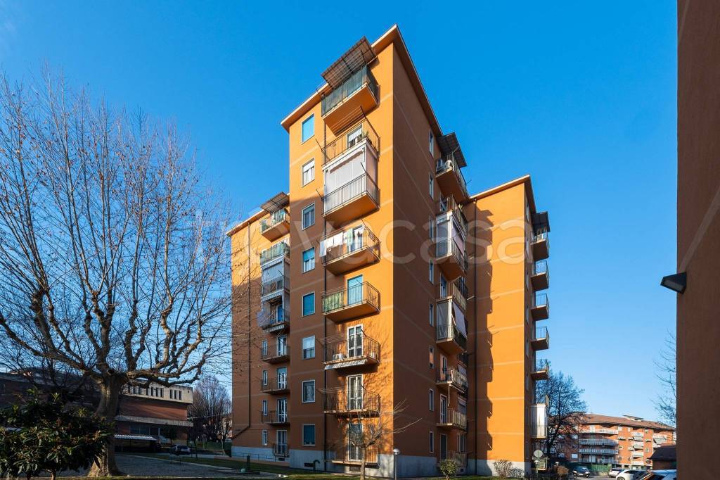 immagine annuncio 1 di 15