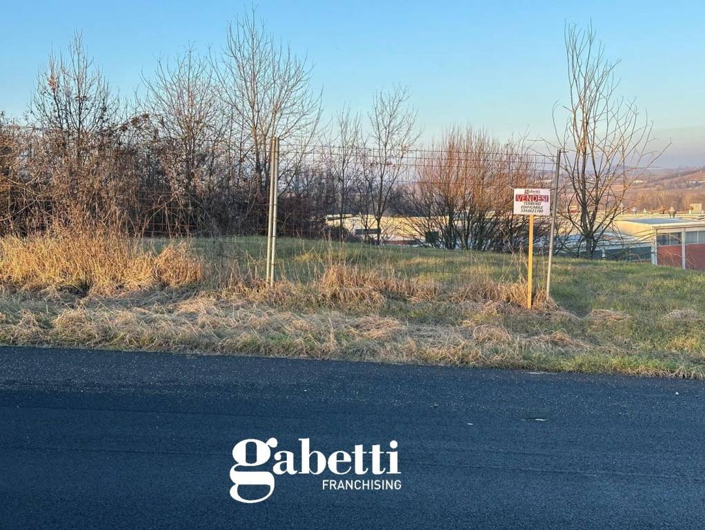 immagine annuncio 11 di 15