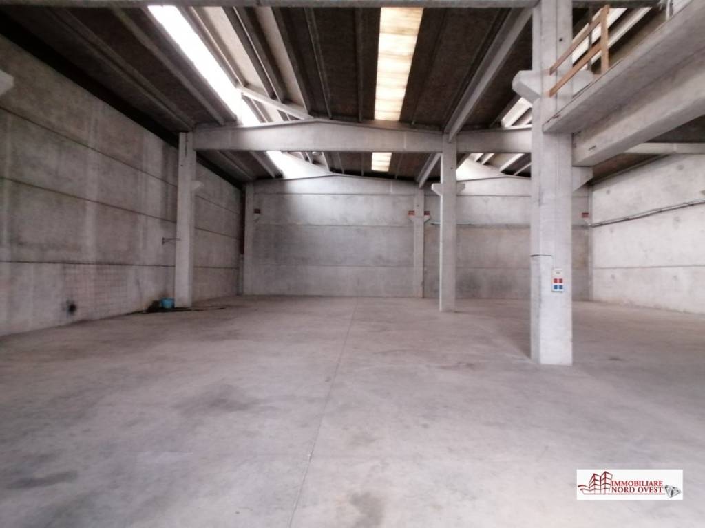 immagine annuncio 5 di 14