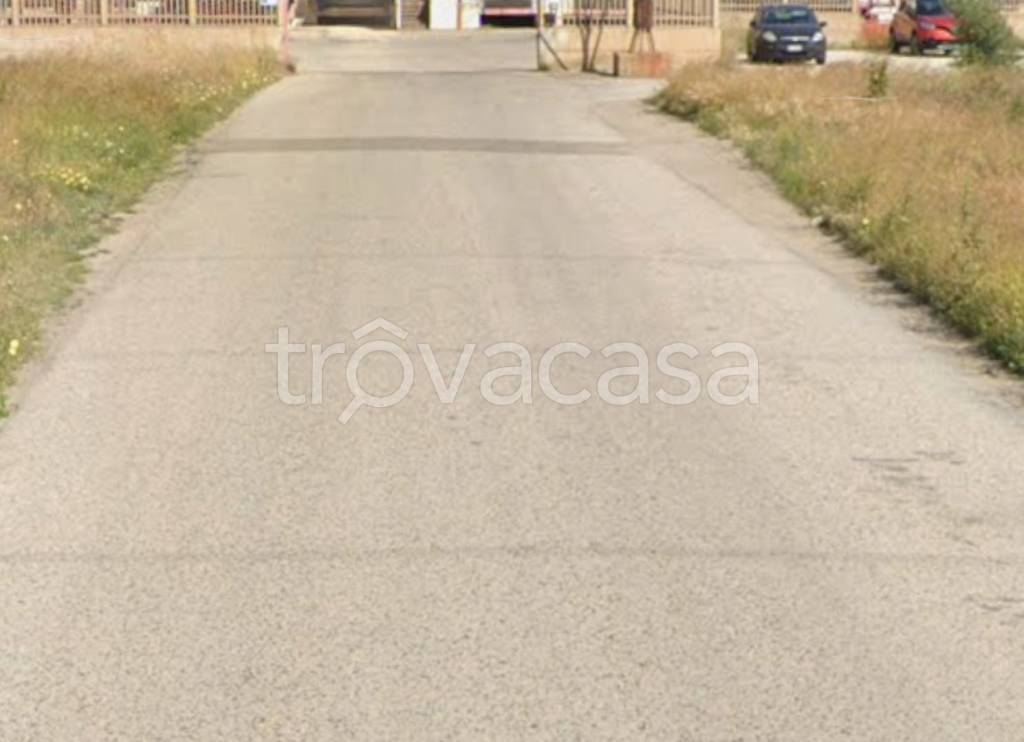 immagine annuncio 9 di 12