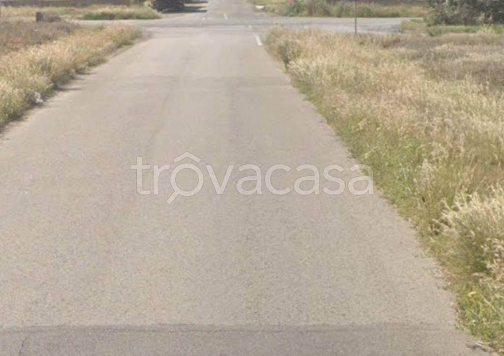 immagine annuncio 10 di 12