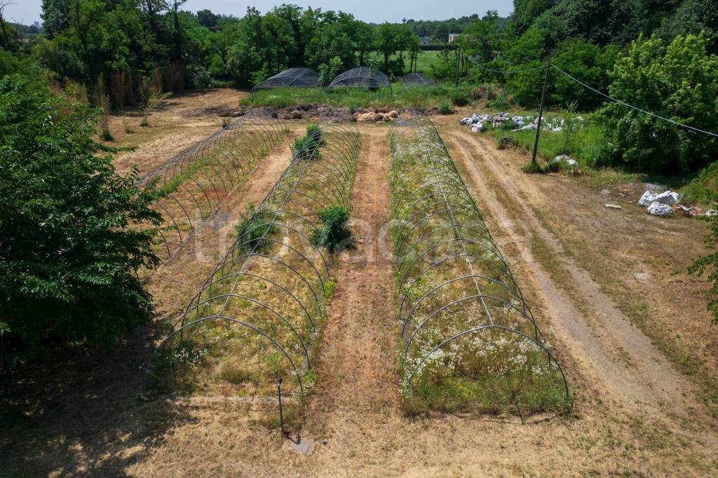 immagine annuncio 4 di 7