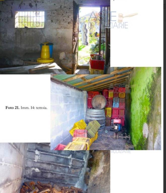 immagine annuncio 5 di 15