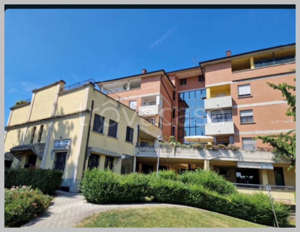 immagine annuncio 6 di 15