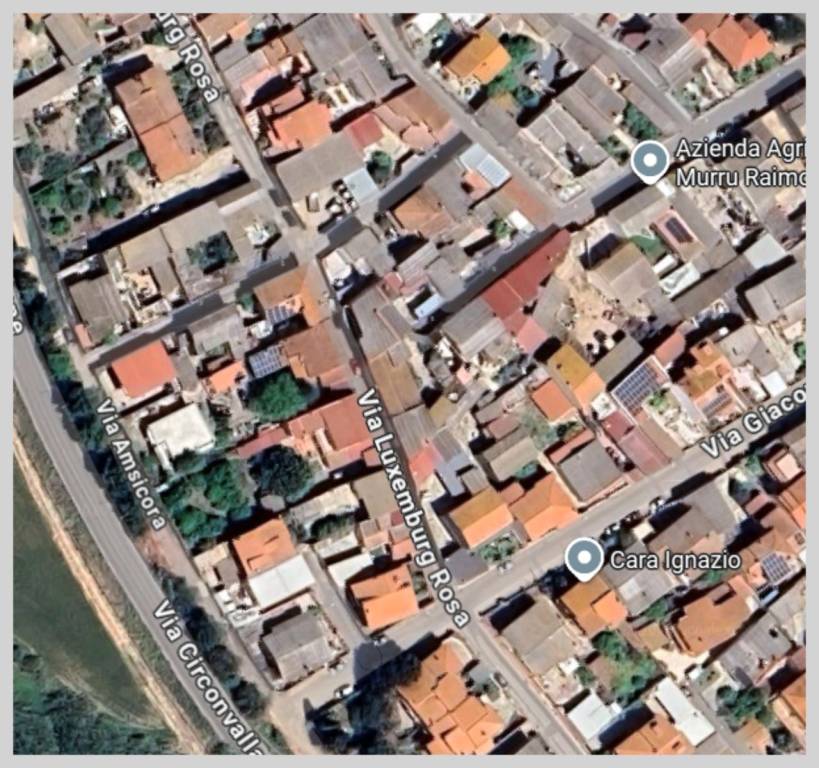 immagine annuncio 11 di 15