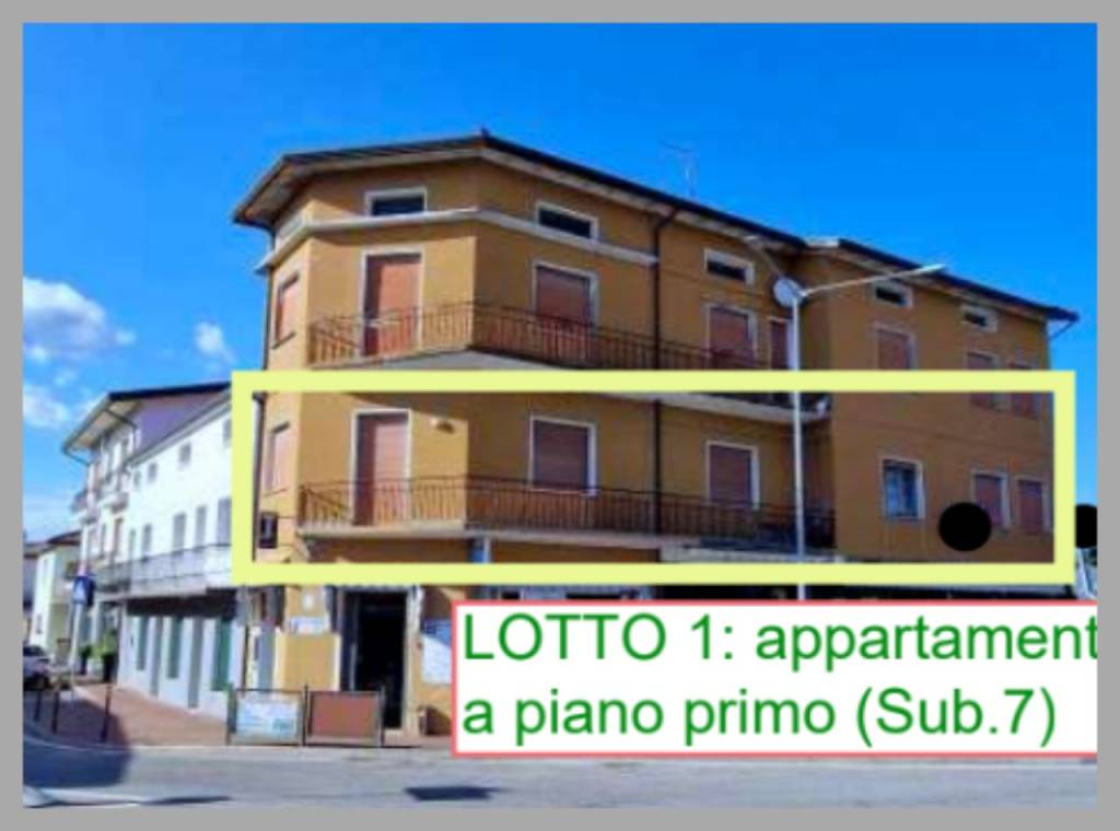 immagine annuncio 12 di 15