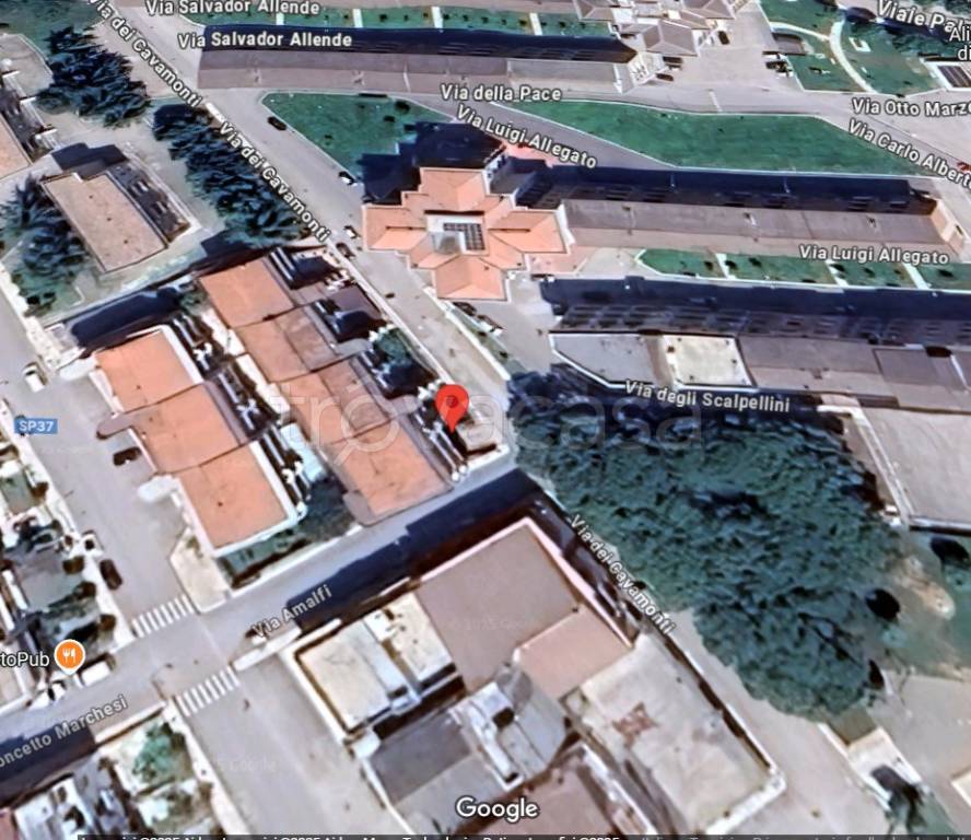 immagine annuncio 4 di 15