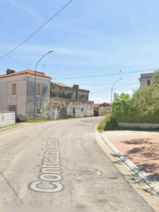 immagine annuncio 1 di 4