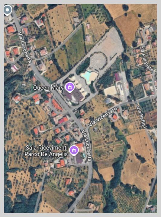 immagine annuncio 12 di 15