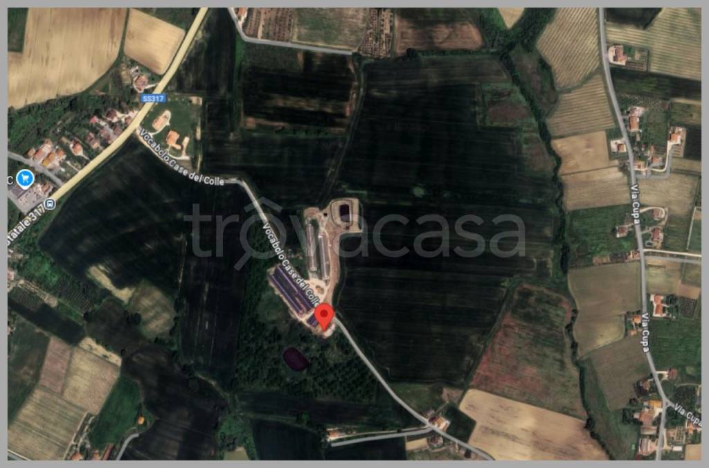 immagine annuncio 14 di 15