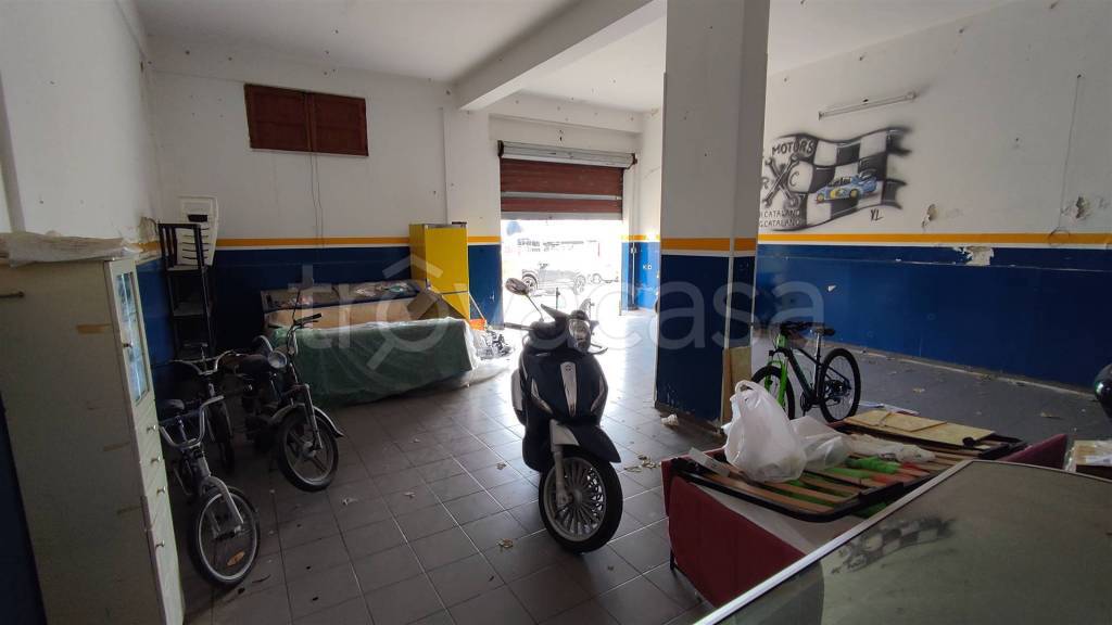 immagine annuncio 2 di 8