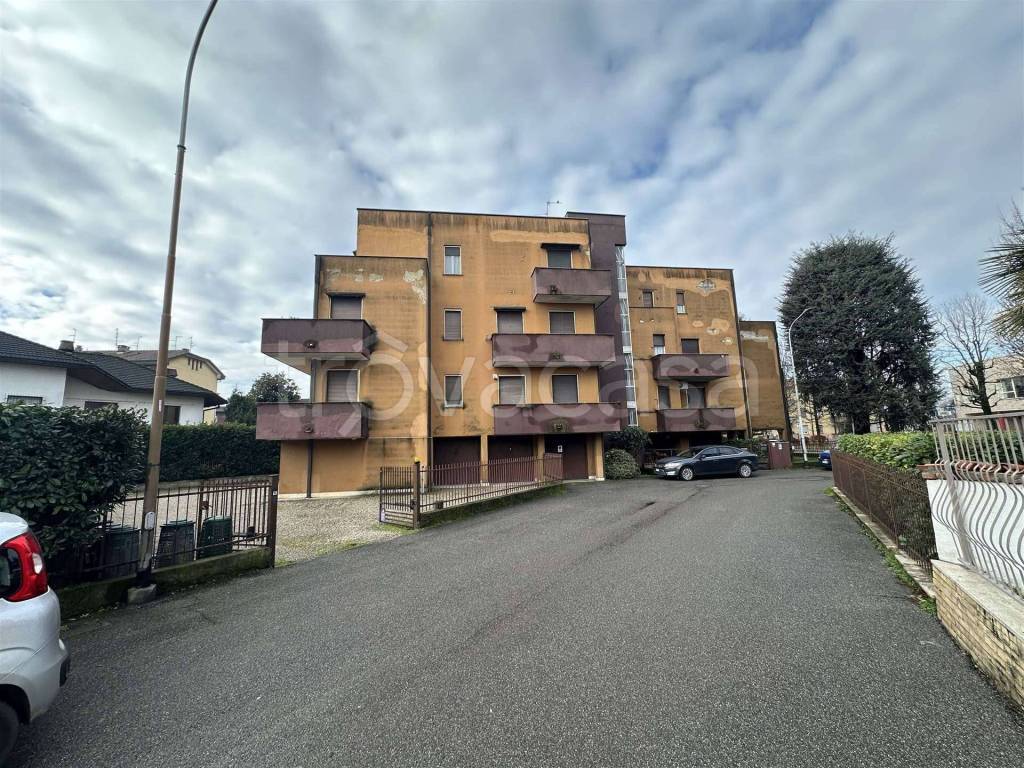 immagine annuncio 1 di 12