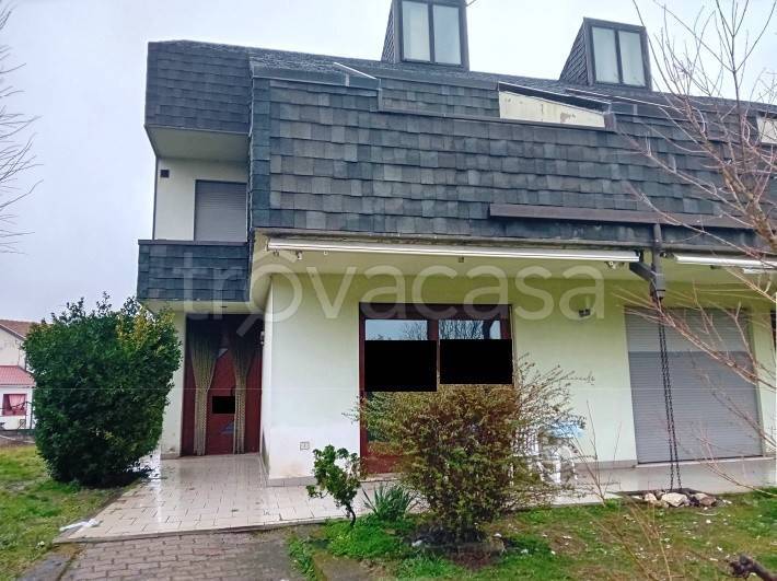 immagine annuncio 5 di 15