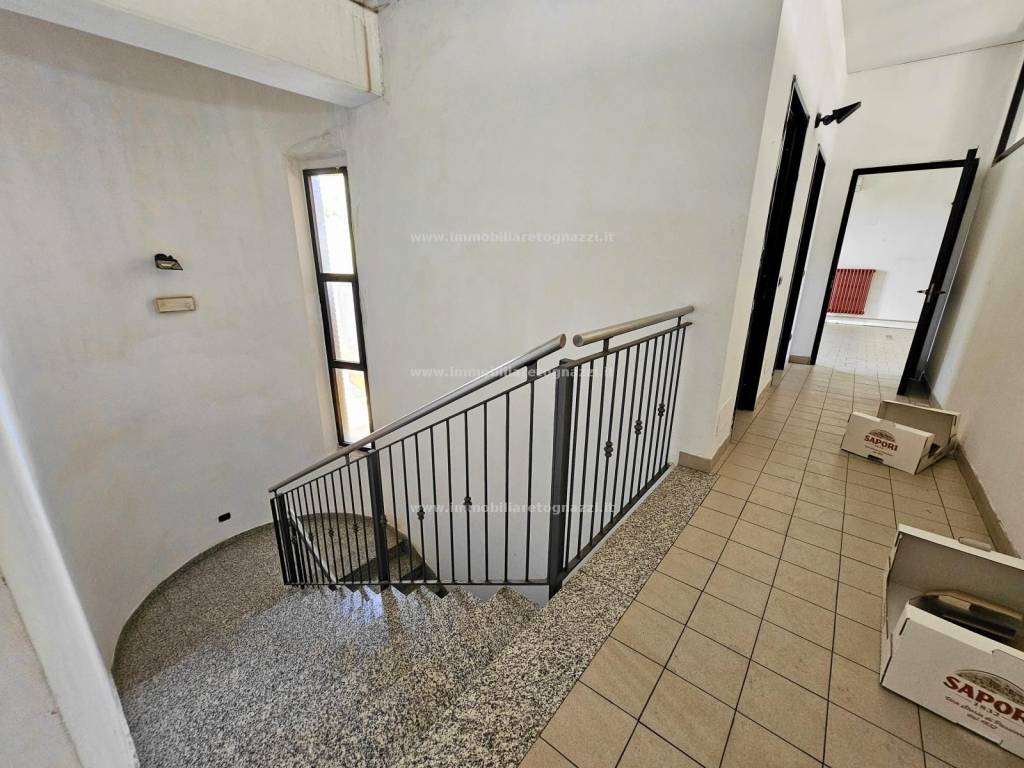 immagine annuncio 6 di 12