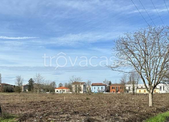 immagine annuncio 4 di 6