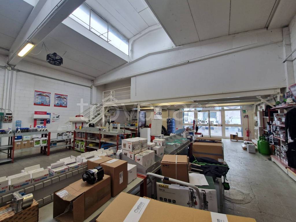 immagine annuncio 1 di 12