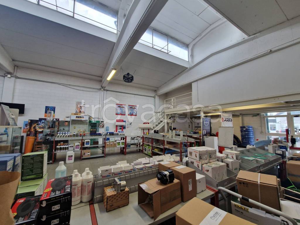 immagine annuncio 2 di 12