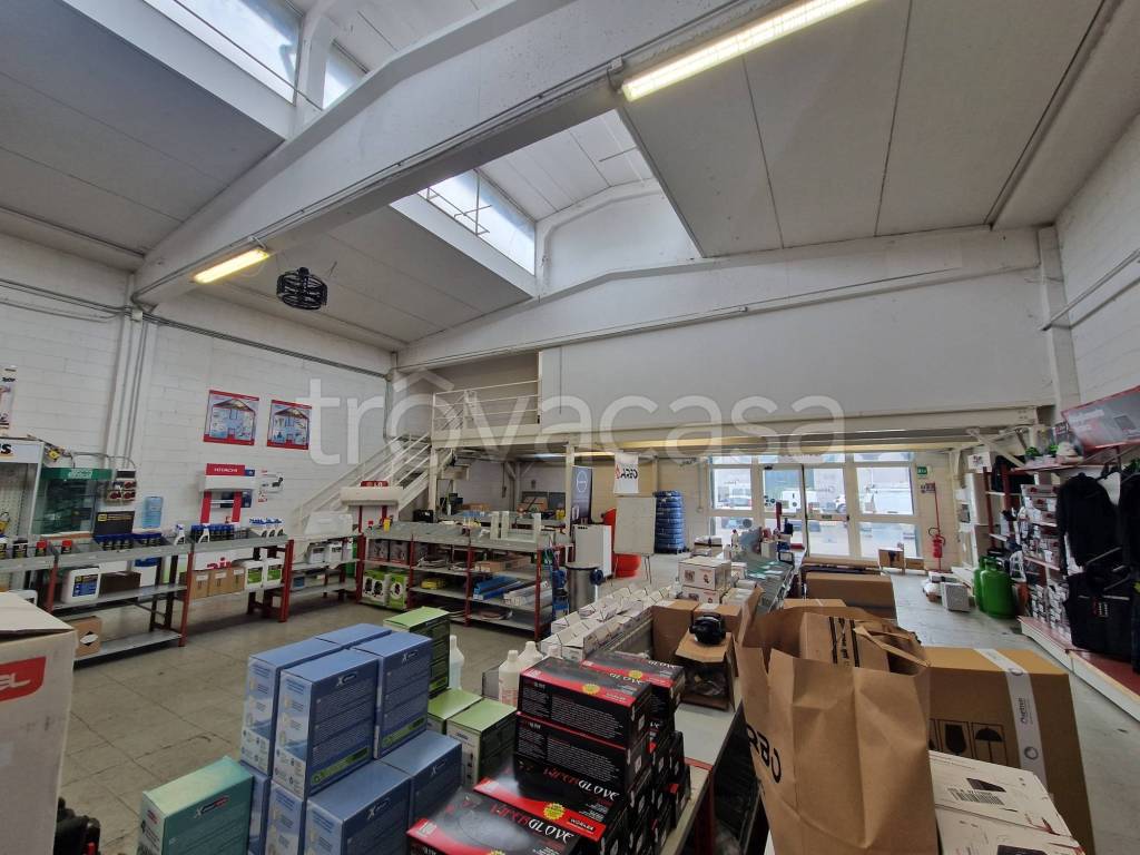 immagine annuncio 9 di 12