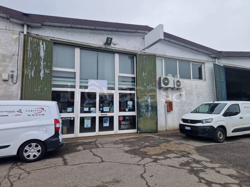 immagine annuncio 11 di 12