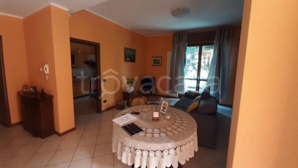 immagine annuncio 1 di 13