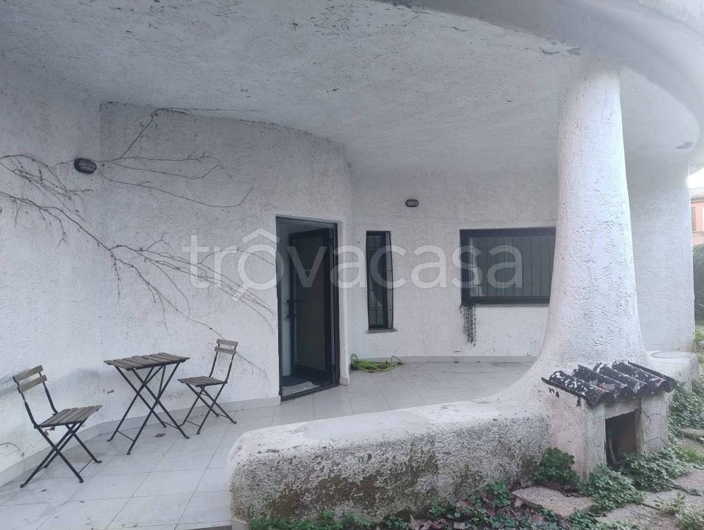 immagine annuncio 9 di 15