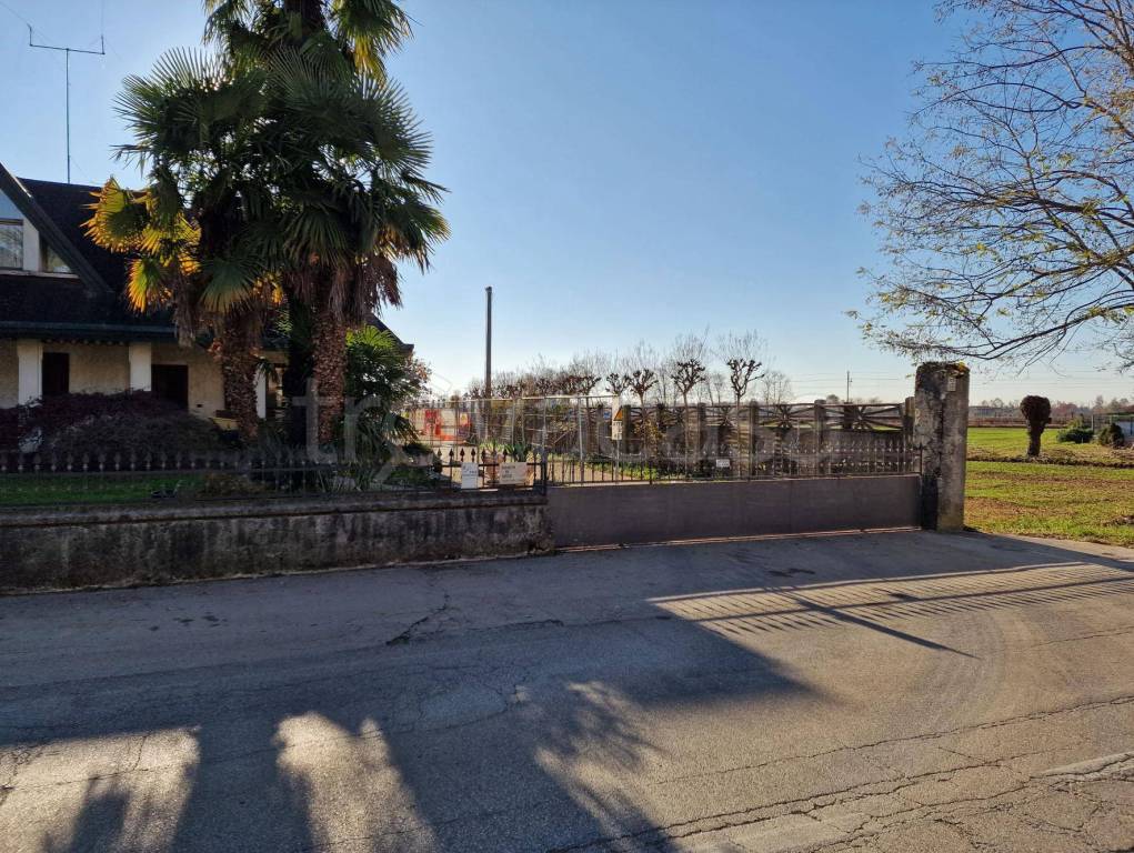 immagine annuncio 1 di 8