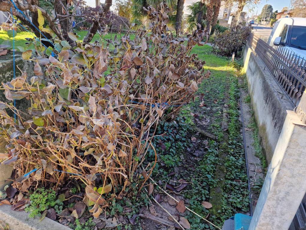 immagine annuncio 3 di 8