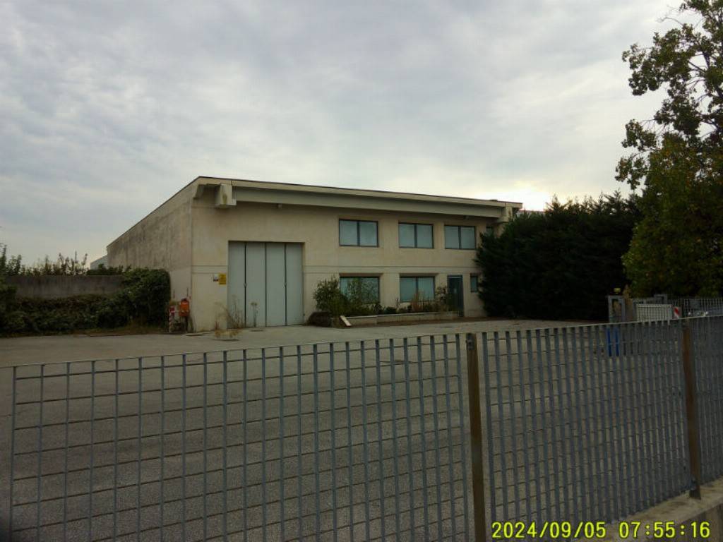 immagine annuncio 2 di 12