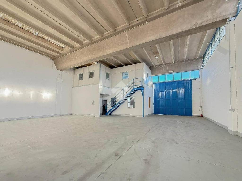 immagine annuncio 13 di 15