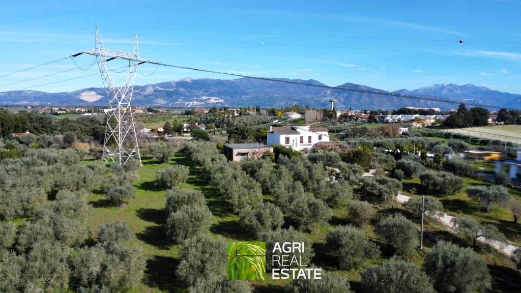 immagine annuncio 4 di 13