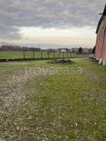 immagine annuncio 3 di 12