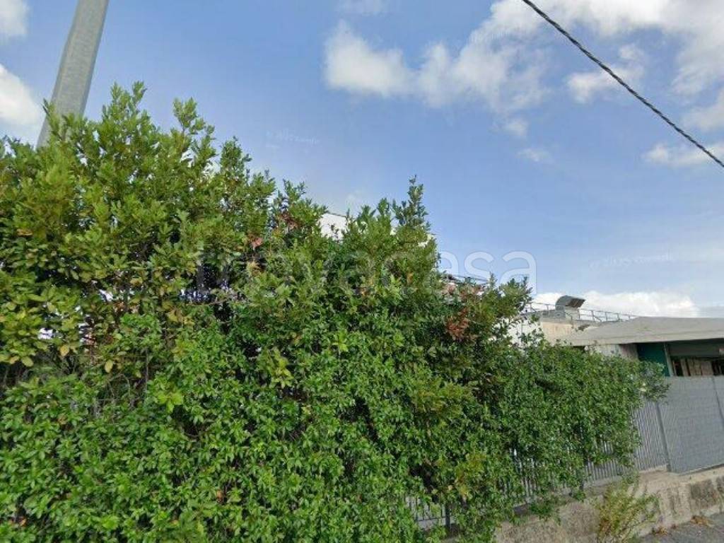 immagine annuncio 12 di 13