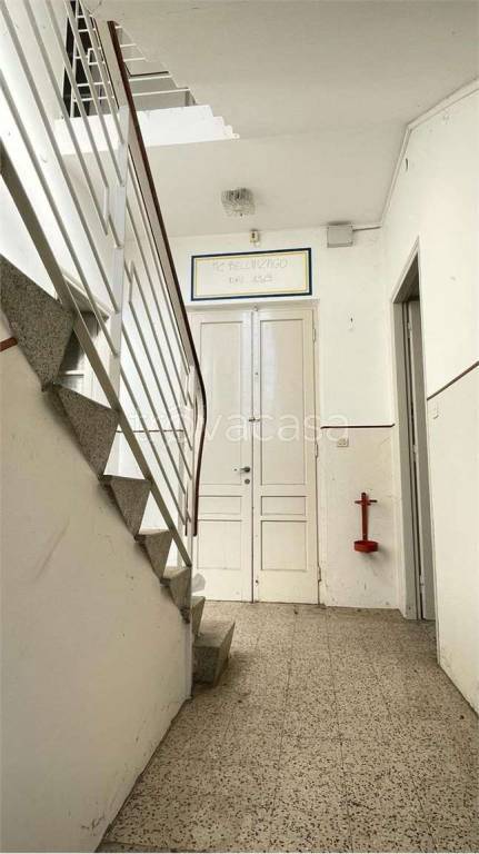 immagine annuncio 6 di 13