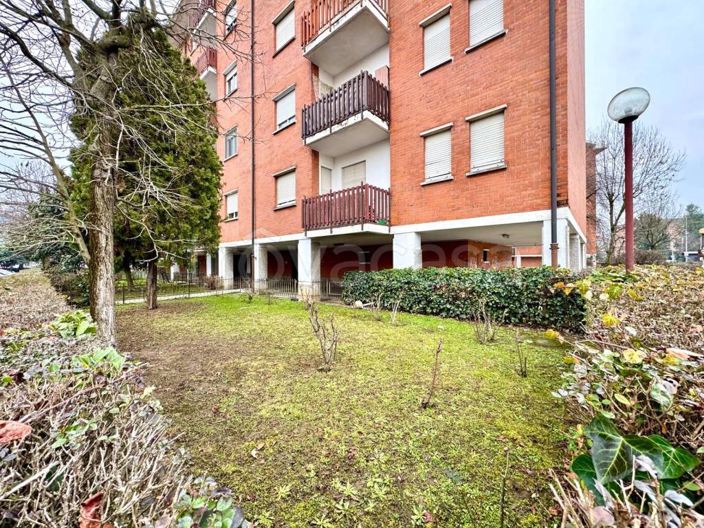 immagine annuncio 1 di 15