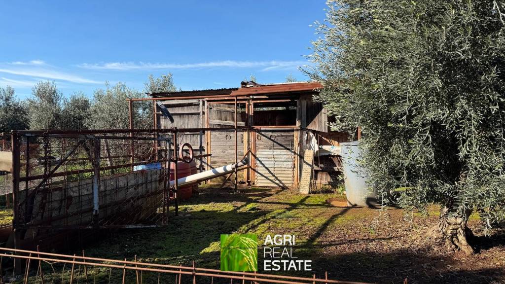 immagine annuncio 11 di 15