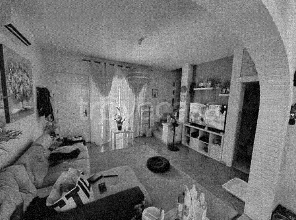 immagine annuncio 9 di 14