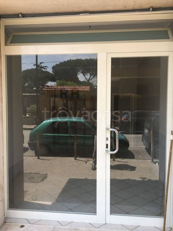 immagine annuncio 6 di 8