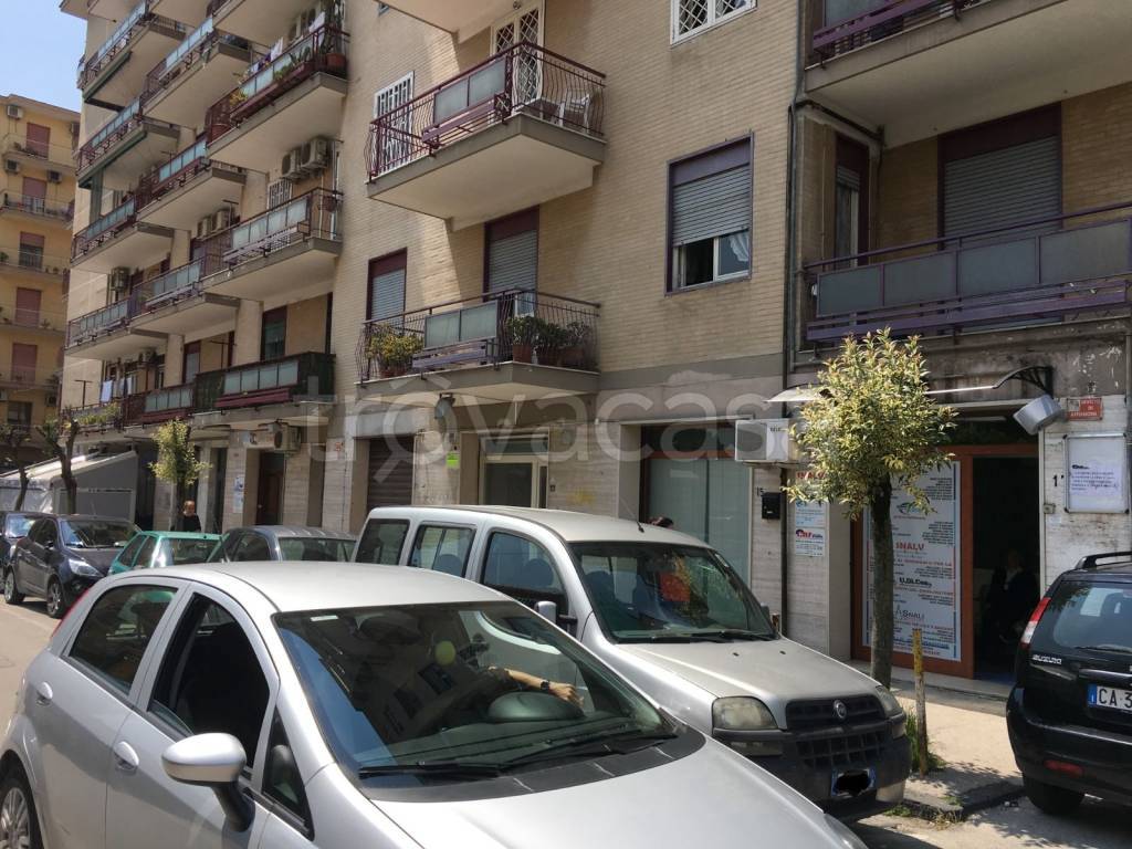 immagine annuncio 3 di 8